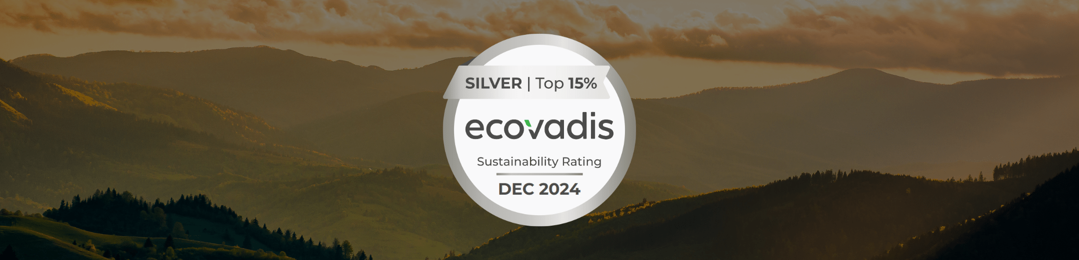 ecovadis 2024 